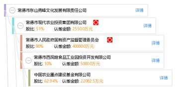 常德市東山秀峰文化發(fā)展有限責(zé)任公司 以文化為根基，打造常德軟件開(kāi)發(fā)新標(biāo)桿