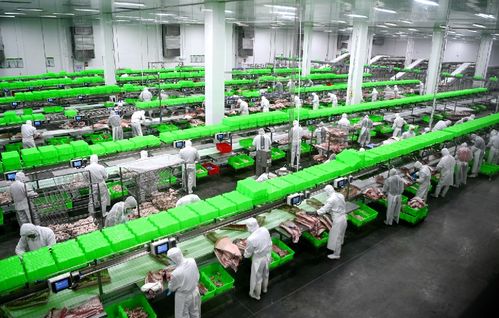 2020，南陽(yáng)城鄉(xiāng)巨變 三起來(lái)戰(zhàn)略如何勁推城市出新出彩